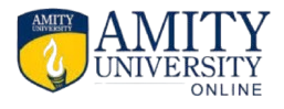 AMITY UNIVERSITY